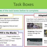 Task Selection Boxes