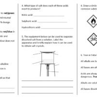 Topic Worksheet Questions