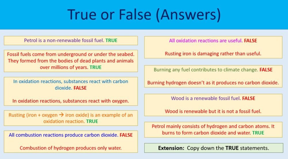 True or False Activity