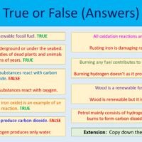 True or False Activity