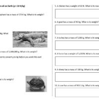 Worksheet