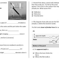 Worksheet Task