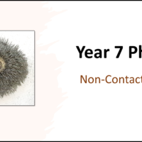 Year-7 Physics Forces-Non-Contact Forces Title