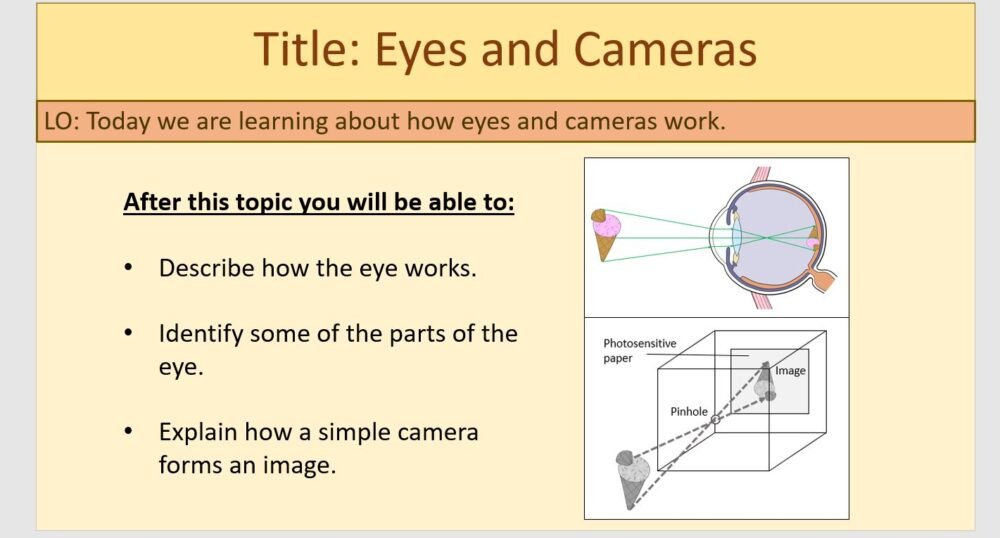 Year-7 Physics Light - Eyes and Cameras Lesson Objectives