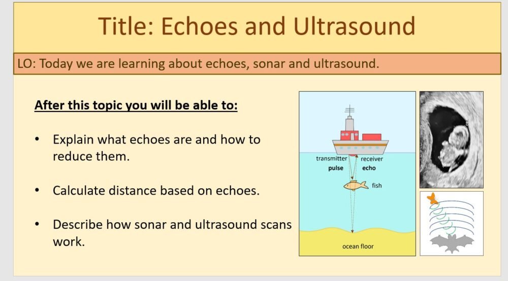 Year-7 Physics Sound - Echoes and Ultrasound Lesson Objectives