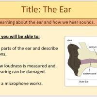 Year-7 Physics Sound - The Ear