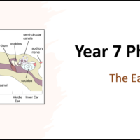 Year-7 Physics Sound - The Ear Title