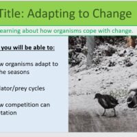 Year-8 Biology Adaptation and Inheritance Adapting to Change Lesson Objectives