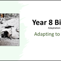 Year-8 Biology Adaptation and Inheritance Adapting to Change Title