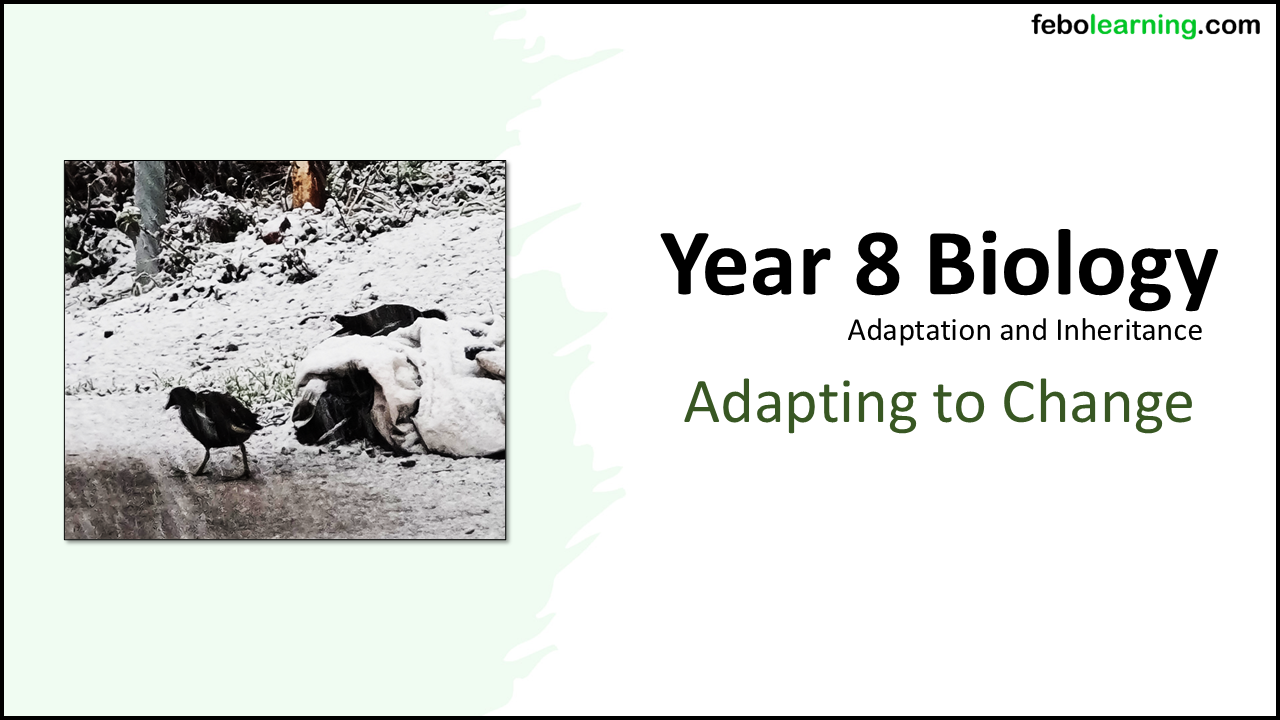 Year-8 Biology Adaptation and Inheritance: Adapting to Change
