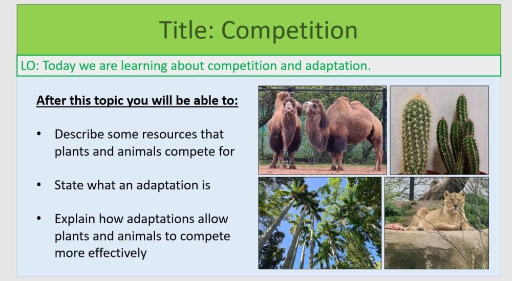 Year-8 Biology Adaptation and Inheritance Competition Objectives
