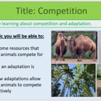 Year-8 Biology Adaptation and Inheritance Competition Objectives