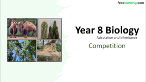 Link to next lesson: Year-8 Biology Adaptation and Inheritance Competition Title