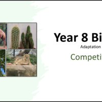 Year-8 Biology Adaptation and Inheritance Competition Title