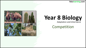 Year-8 Biology Adaptation and Inheritance Competition Title