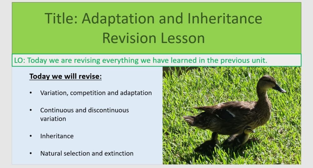 Year-8 Biology Adaptation and Inheritance End of Topic Revision Objectives