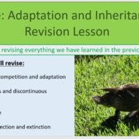 Year-8 Biology Adaptation and Inheritance End of Topic Revision Objectives