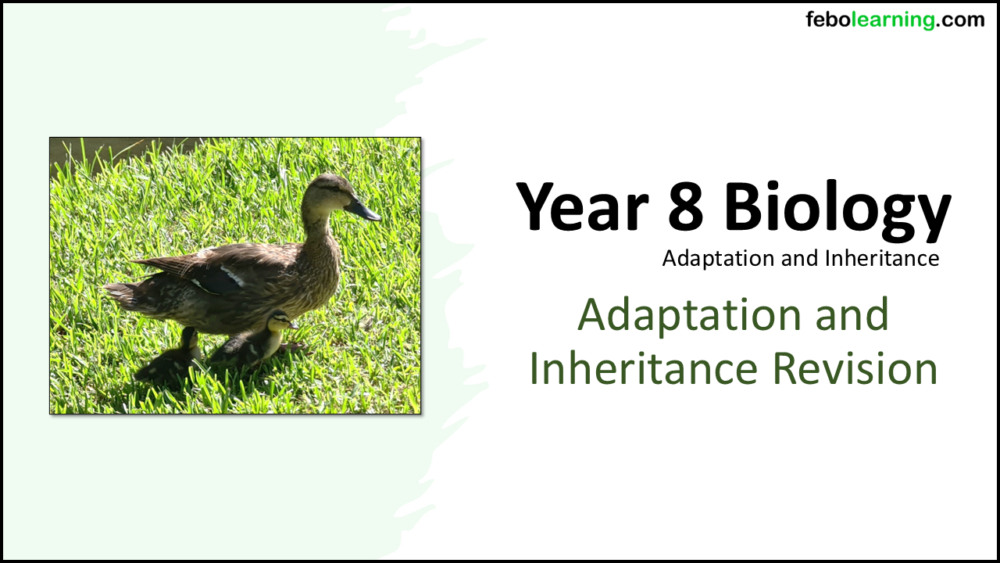 Year-8 Biology Adaptation and Inheritance End of Topic Revision Title