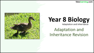 Year-8 Biology Adaptation and Inheritance End of Topic Revision Title