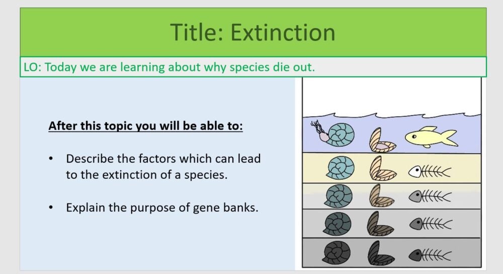 Year-8 Biology Adaptation and Inheritance Extinction Objectives
