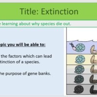 Year-8 Biology Adaptation and Inheritance Extinction Objectives