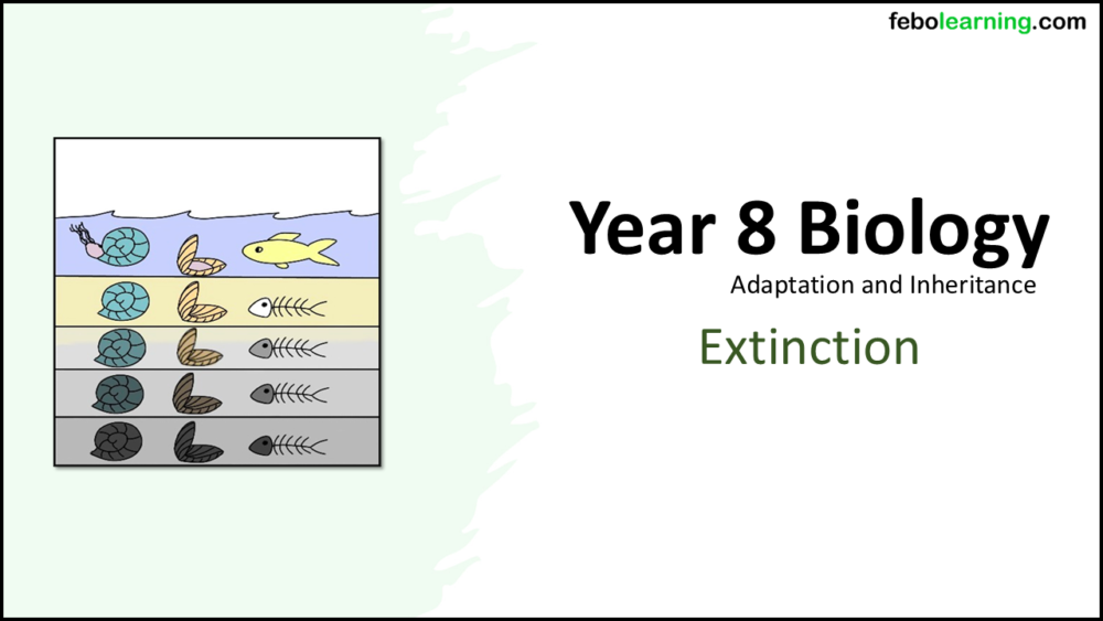 Year-8 Biology Adaptation and Inheritance Extinction Title