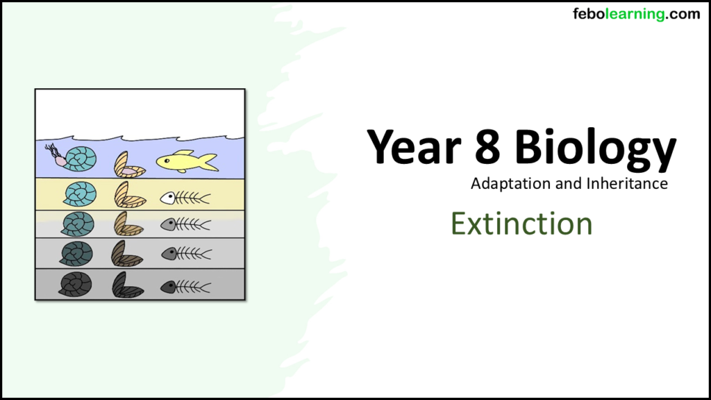 Year-8 Biology Adaptation and Inheritance: Extinction