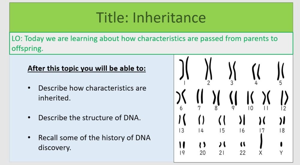 Year-8 Biology Adaptation and Inheritance Inheritance Objectives