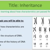 Year-8 Biology Adaptation and Inheritance Inheritance Objectives