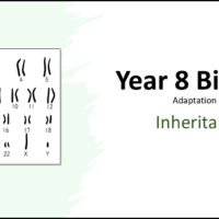 Year-8 Biology Adaptation and Inheritance Inheritance Title