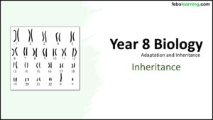 Link to next lesson: Inheritance