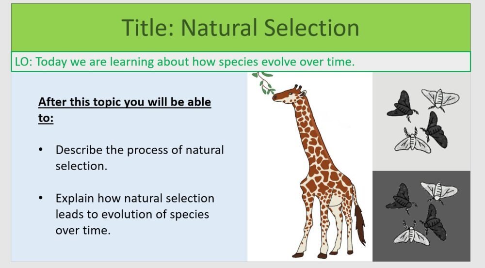 Year-8 Biology Adaptation and Inheritance Natural Selection Objectives