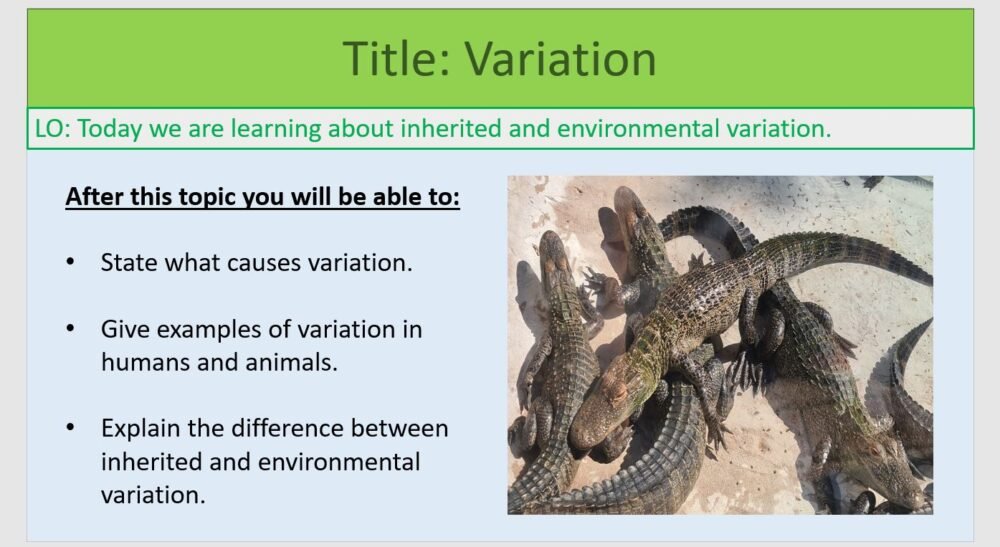 Year-8 Biology Adaptation and Inheritance Variation Objectives