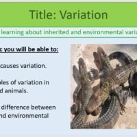 Year-8 Biology Adaptation and Inheritance Variation Objectives