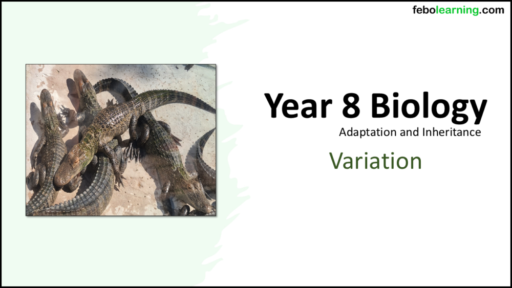 Year-8 Biology Adaptation and Inheritance Variation Title