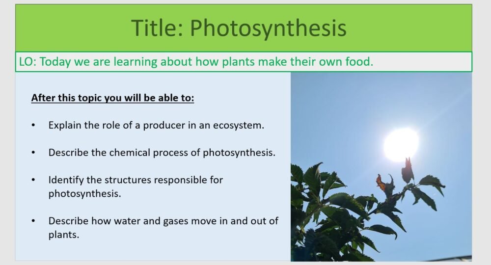 Year-8 Biology Ecosystem Processes Photosynthesis Lesson Objectives