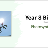 Year-8 Biology Ecosystem Processes Photosynthesis Title NEW