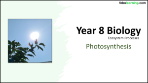 Year-8 Biology Ecosystem Processes Photosynthesis Title NEW Year-8 Biology Ecosystem Processes Photosynthesis Title NEW