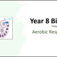 Year-8 Biology Ecosystems Aerobic Respiration Title