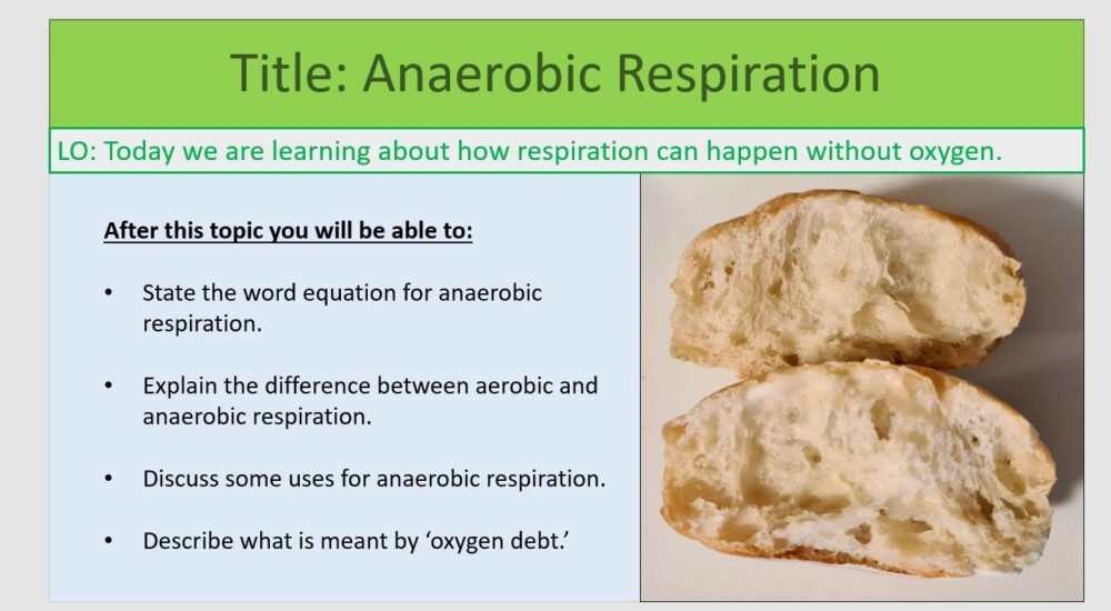 Year-8 Biology Ecosystems Anaerobic Respiration Lesson Objectives