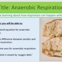 Year-8 Biology Ecosystems Anaerobic Respiration Lesson Objectives
