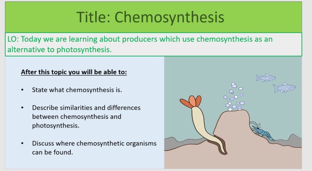 Year-8 Biology Ecosystems Chemosynthesis Lesson Objectives