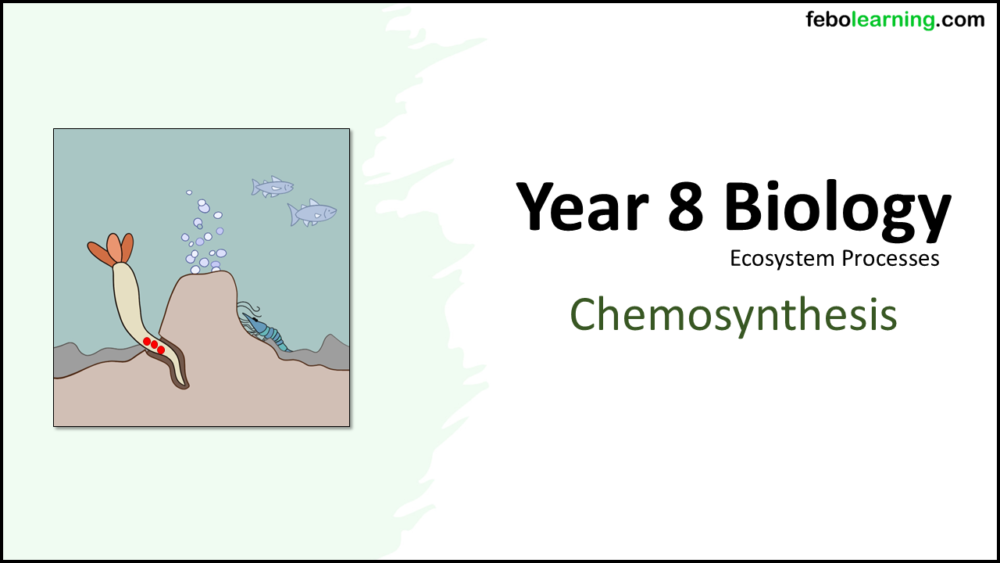Year-8 Biology Ecosystems Chemosynthesis Title