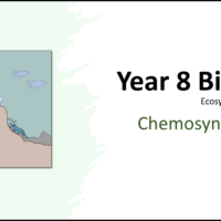 Year-8 Biology Ecosystems Chemosynthesis Title