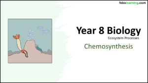 Next Lesson: Chemosynthesis 
