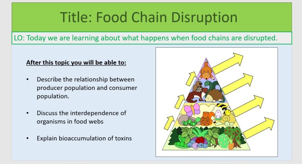 Year-8 Biology Ecosystems Disruption to Food Chains and Webs Lesson Objectives