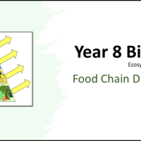 Year-8 Biology Ecosystems Disruption to Food Chains and Webs Title