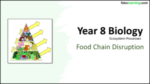 Year-8 Biology Ecosystems Disruption to Food Chains and Webs Title Year-8 Biology Ecosystems Disruption to Food Chains and Webs Title