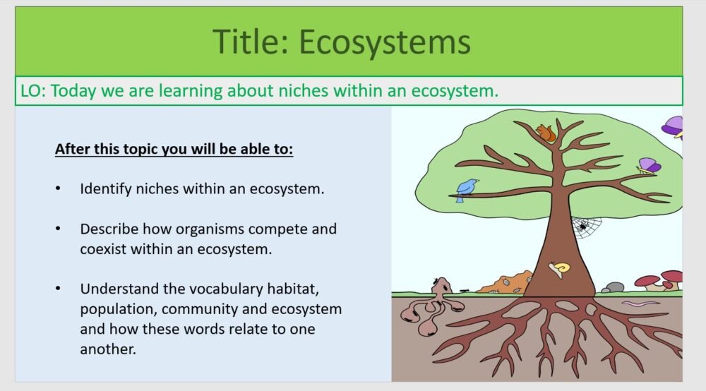 Year-8 Biology Ecosystems Ecosystems Lesson Objectives