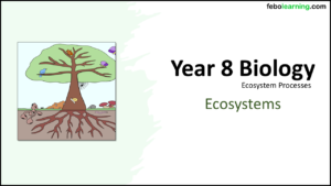 Year-8 Biology Ecosystems Ecosystems Title Year-8 Biology Ecosystems Ecosystems Title